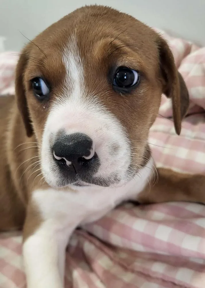 Cardigan thumbnail 6