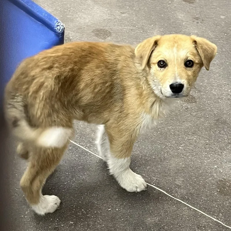 Buckhorn thumbnail 2