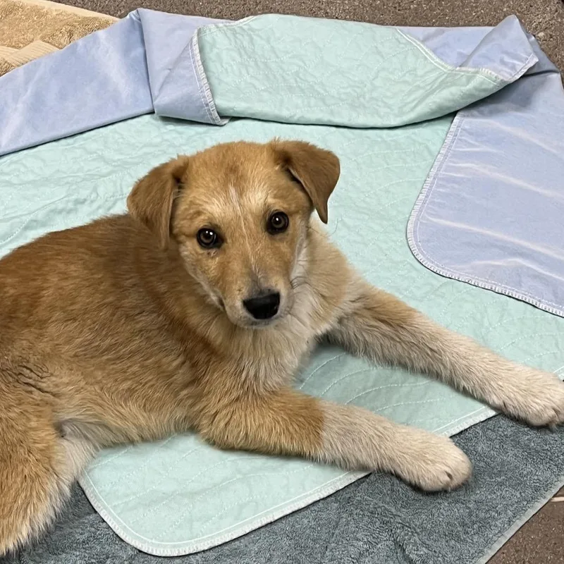 Buckhorn thumbnail 3