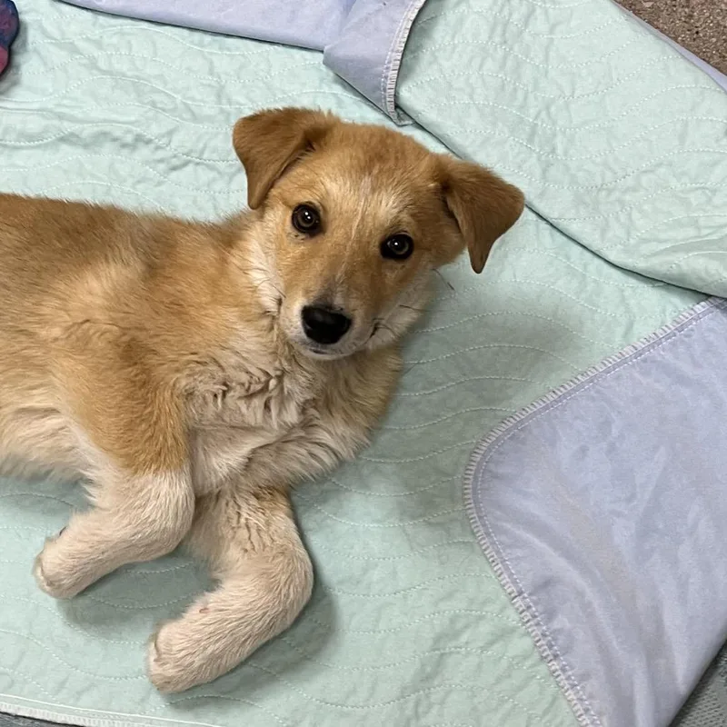 Buckhorn thumbnail 4