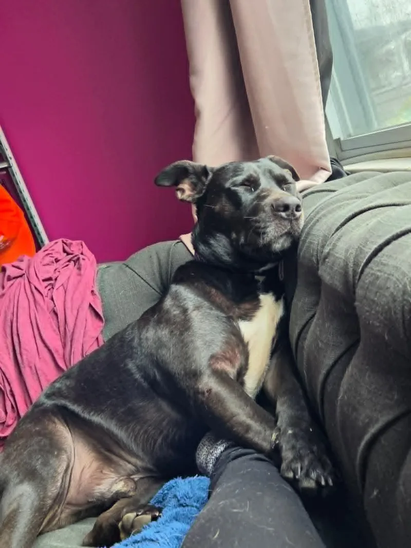 Cheetos thumbnail 2
