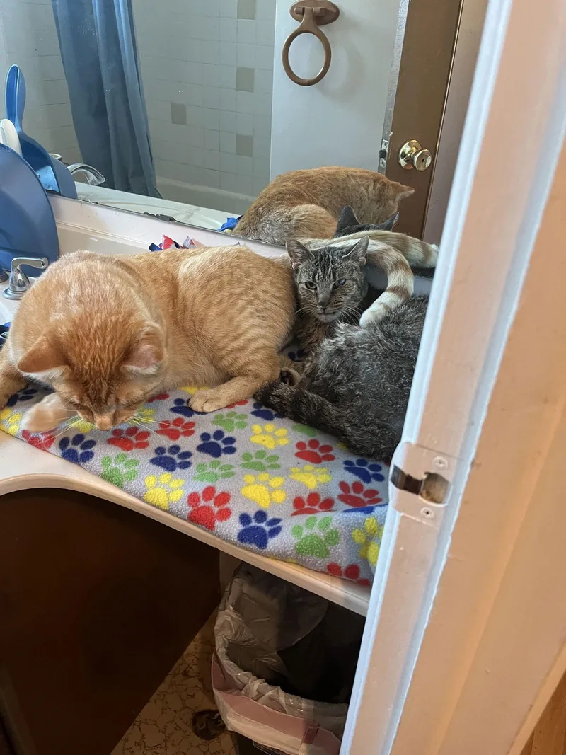 Cleveland thumbnail 2