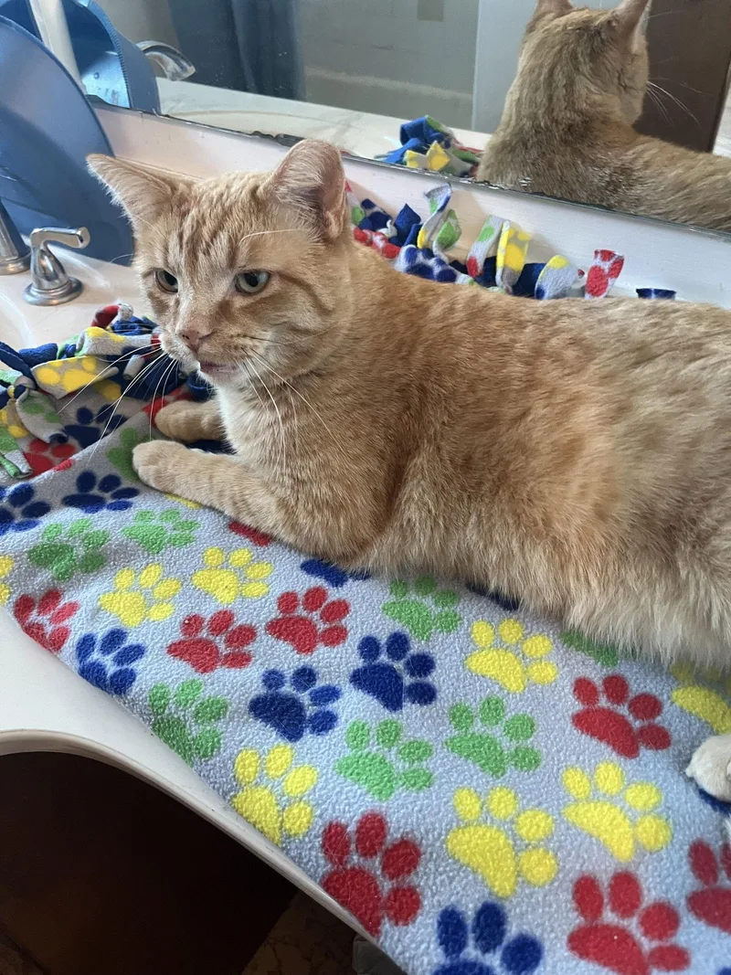 Cleveland thumbnail 3