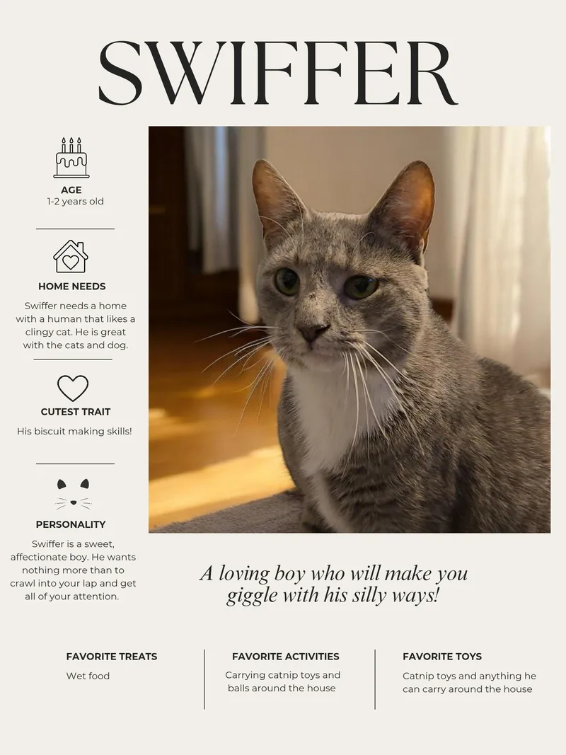 Swiffer