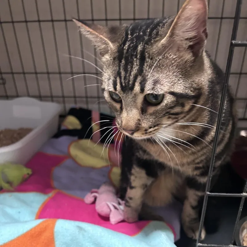 Miles Costa Mesa Location