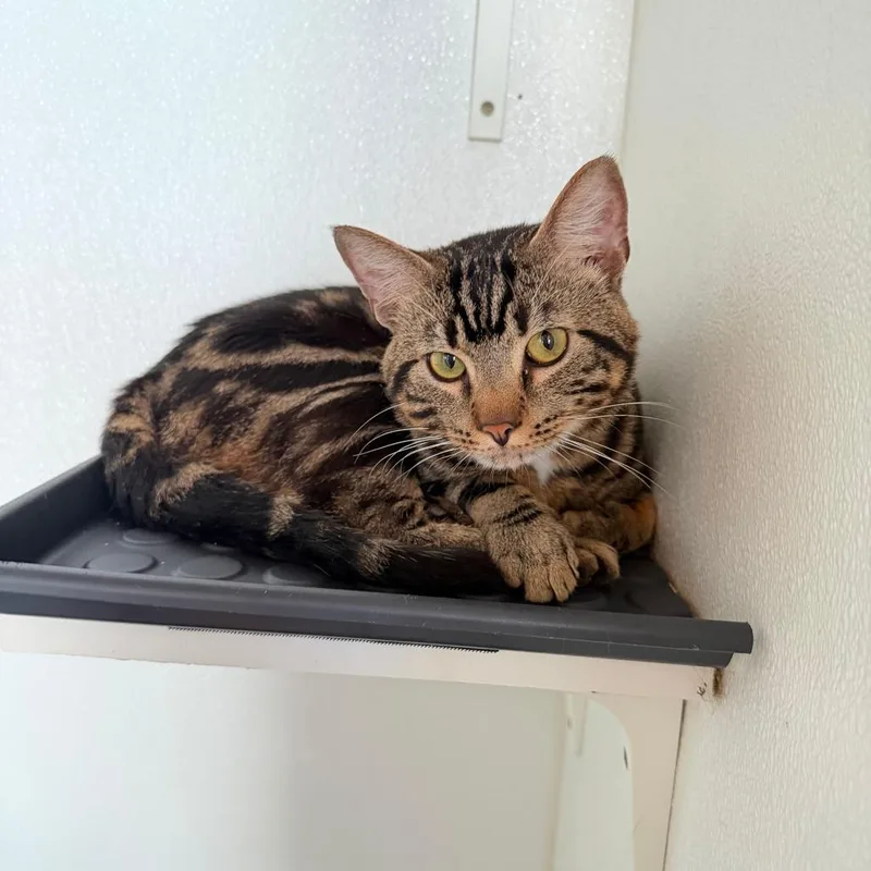 Miles Costa Mesa Location thumbnail 2