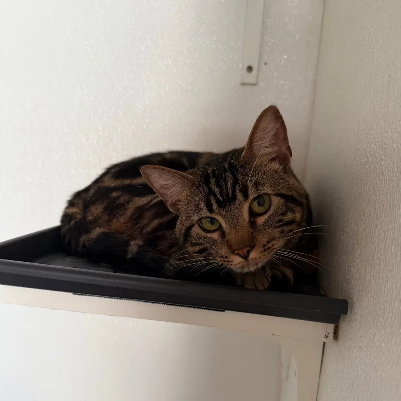 Miles Costa Mesa Location thumbnail 3