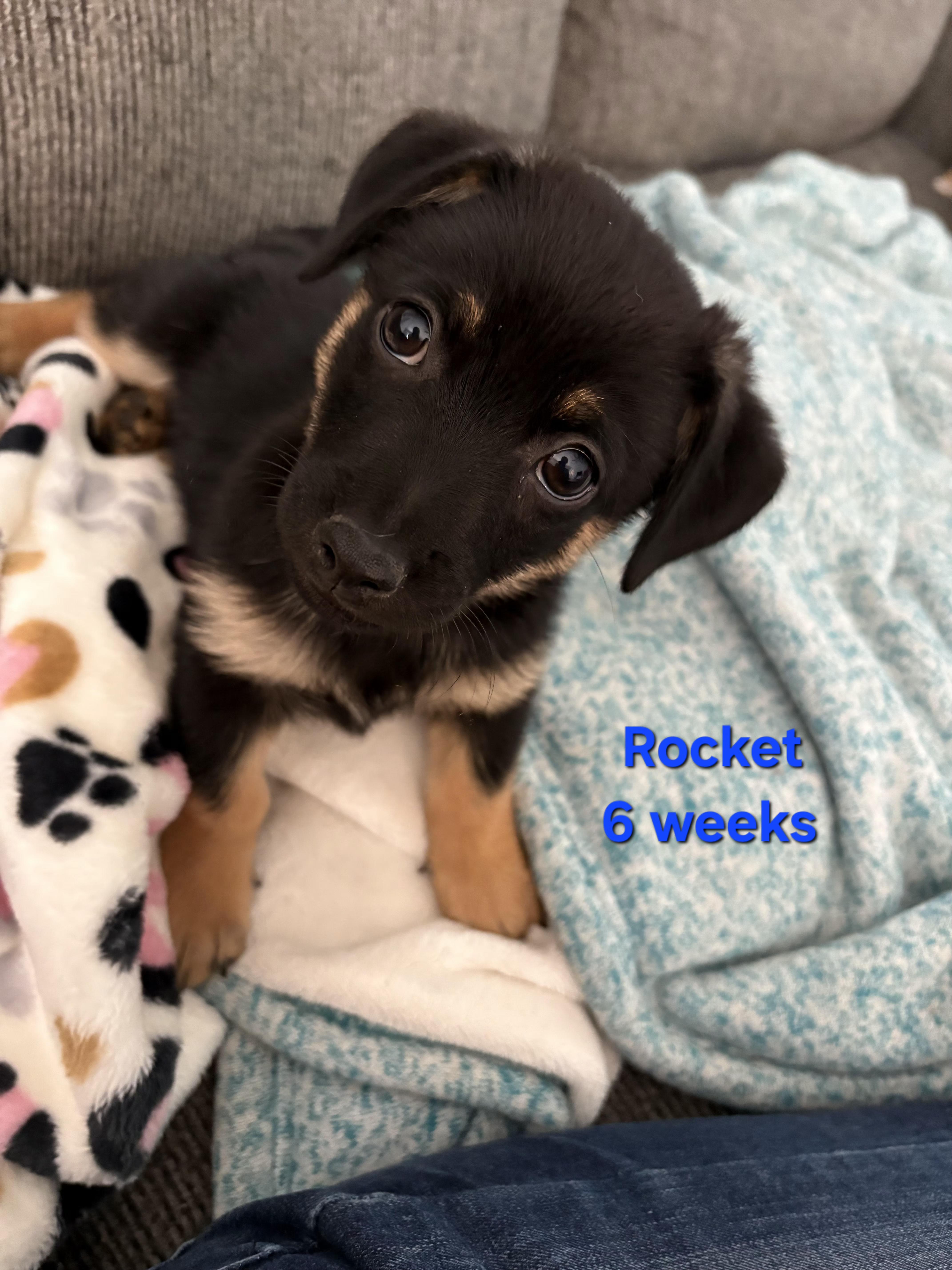 Rocket