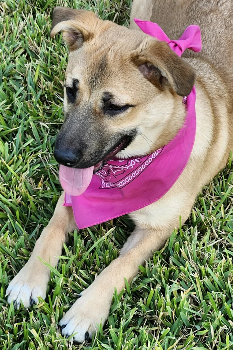 Precious  Sweet Girl! thumbnail 3