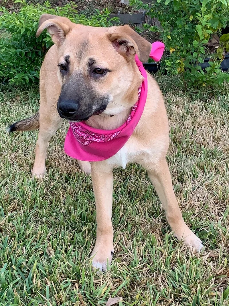 Precious  Sweet Girl! thumbnail 4