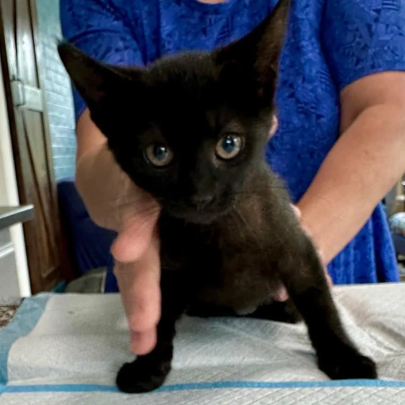 Sabrina Miller thumbnail 2