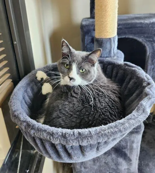 Ethel