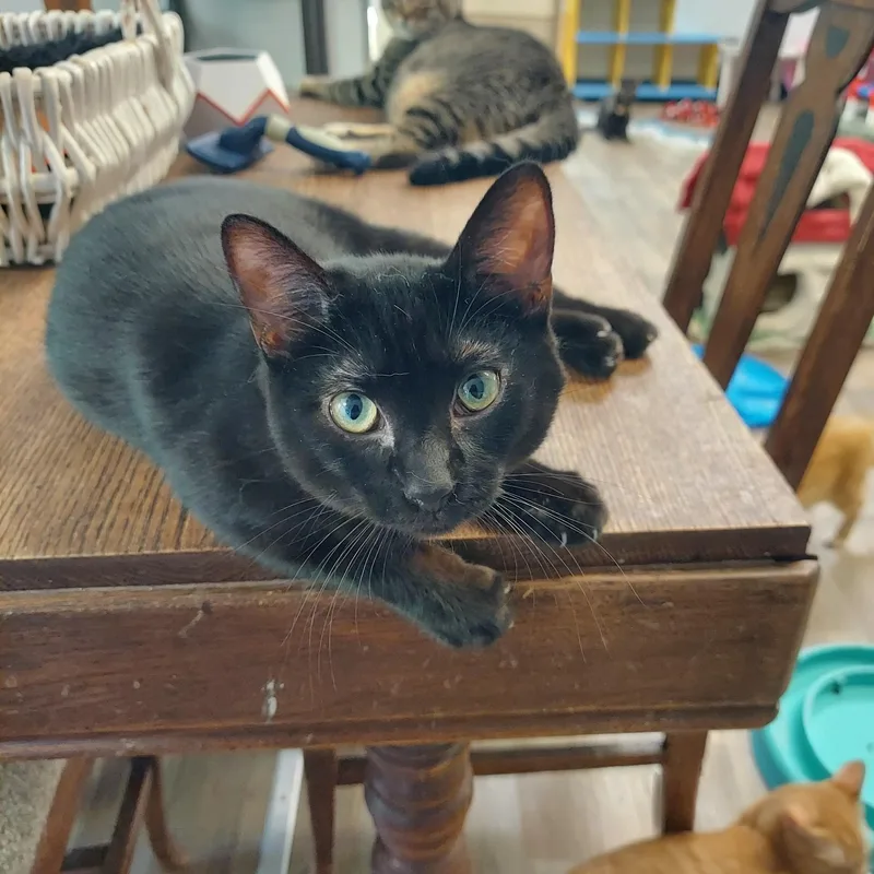 Wednesday thumbnail 2