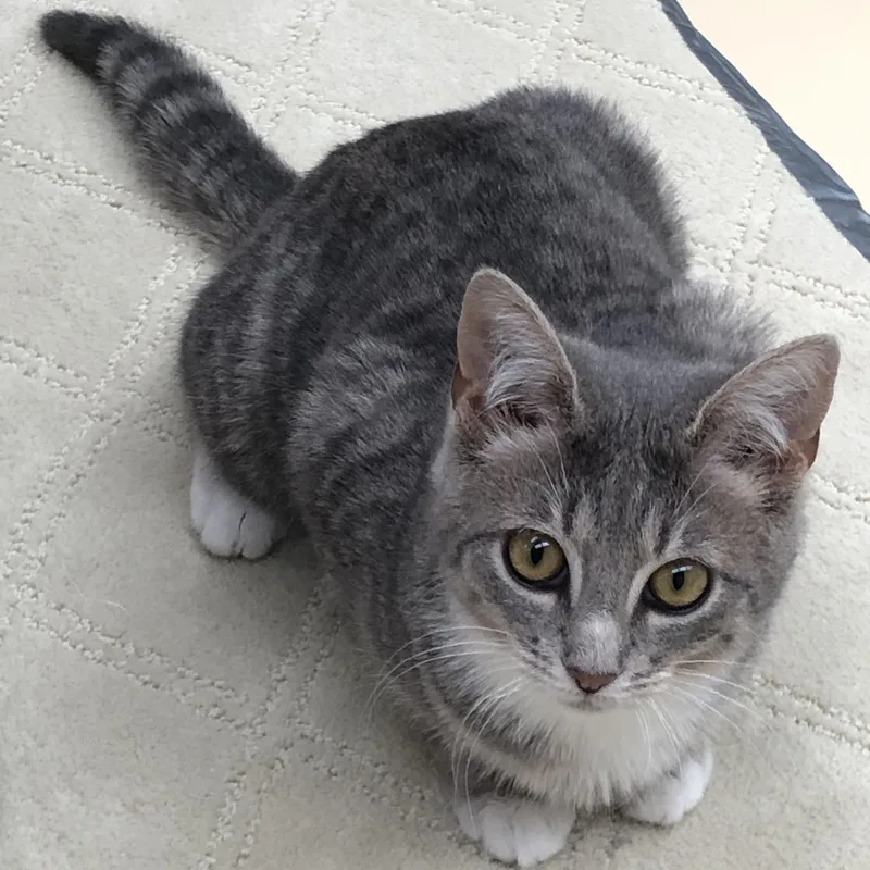 Macy & Maurice thumbnail 2