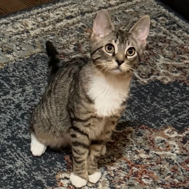 Macy & Maurice thumbnail 3