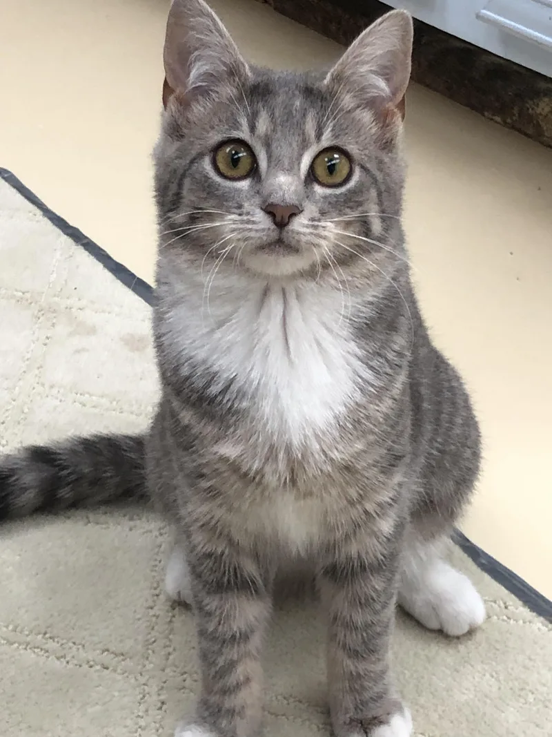 Macy & Maurice thumbnail 5