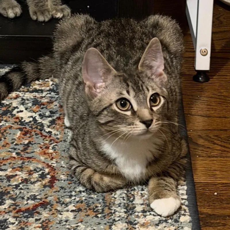 Macy & Maurice thumbnail 6