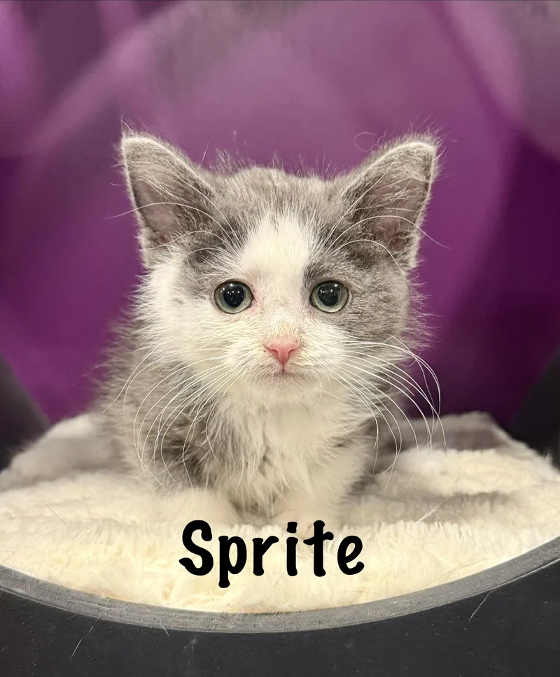 Sprite thumbnail 2