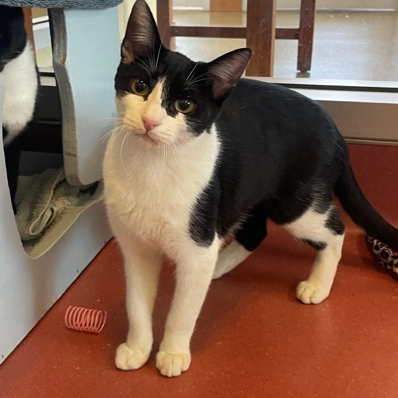 Haiku & Rhyme thumbnail 2