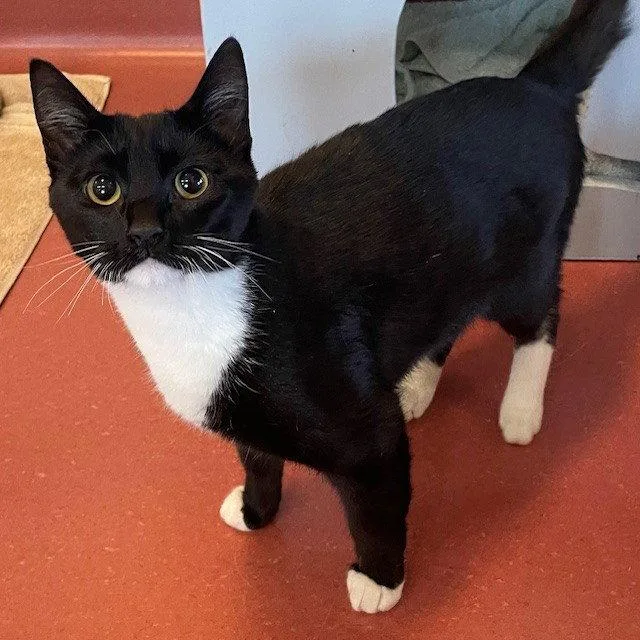 Haiku & Rhyme thumbnail 3