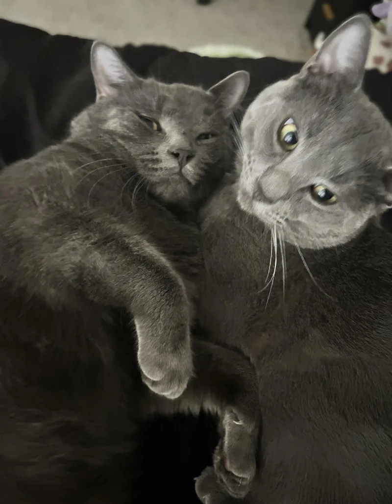 Matcha & Pumpkin thumbnail 3