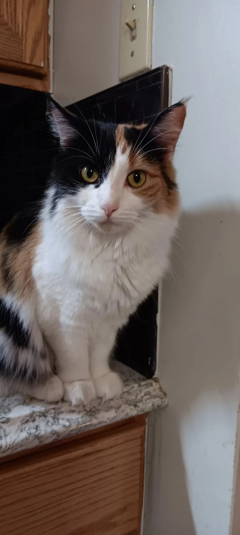 Precious thumbnail 3