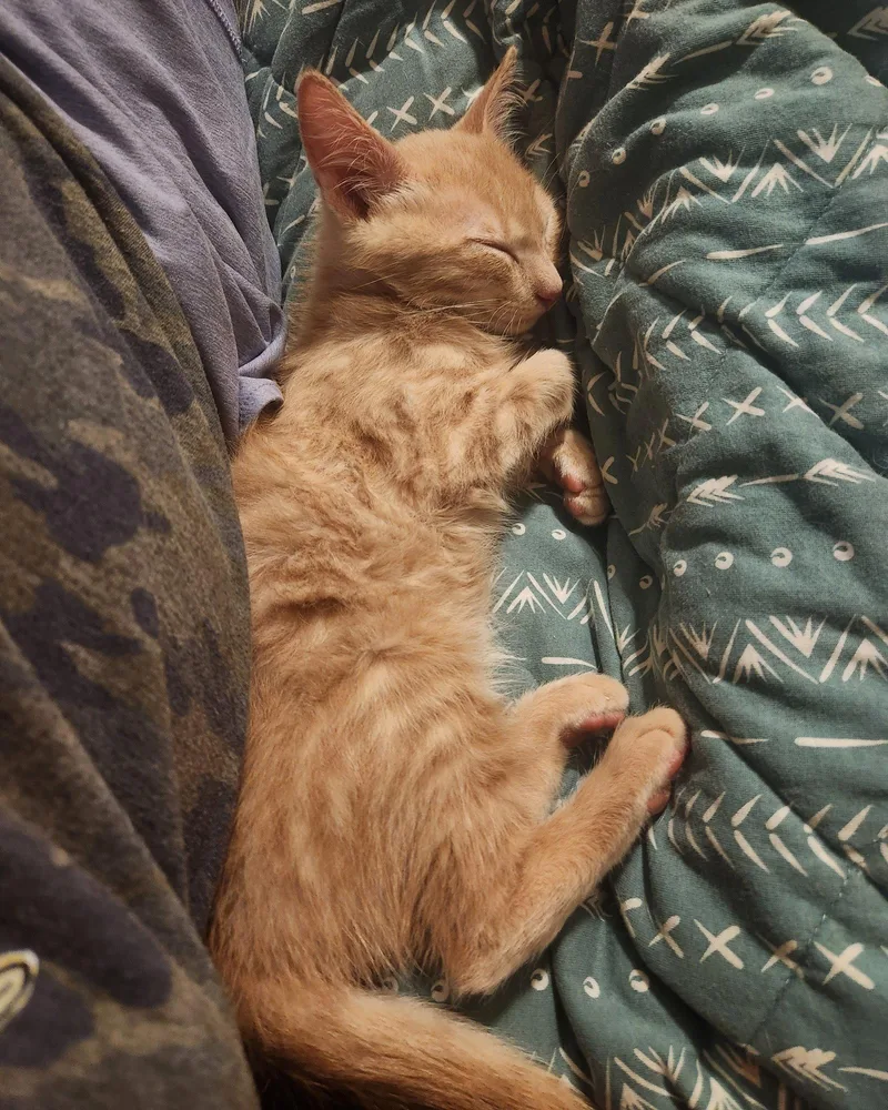 Hudson