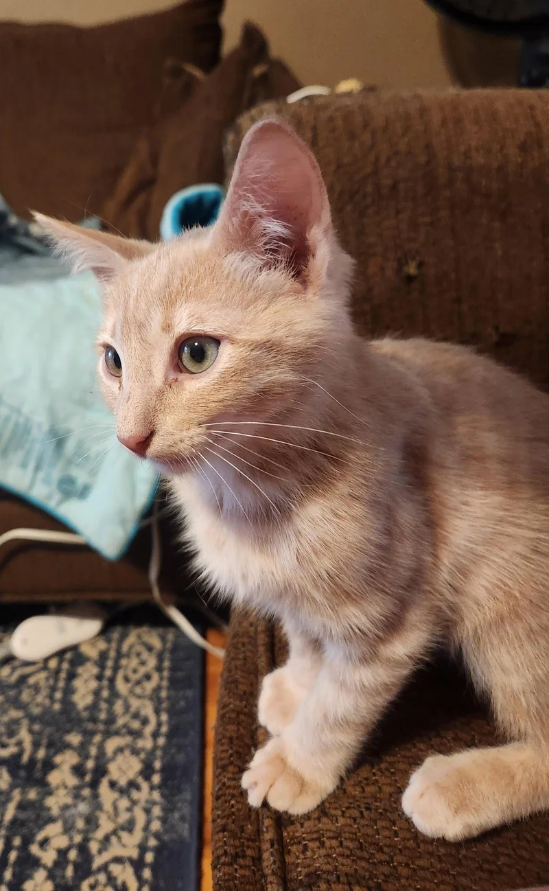 Hudson thumbnail 3
