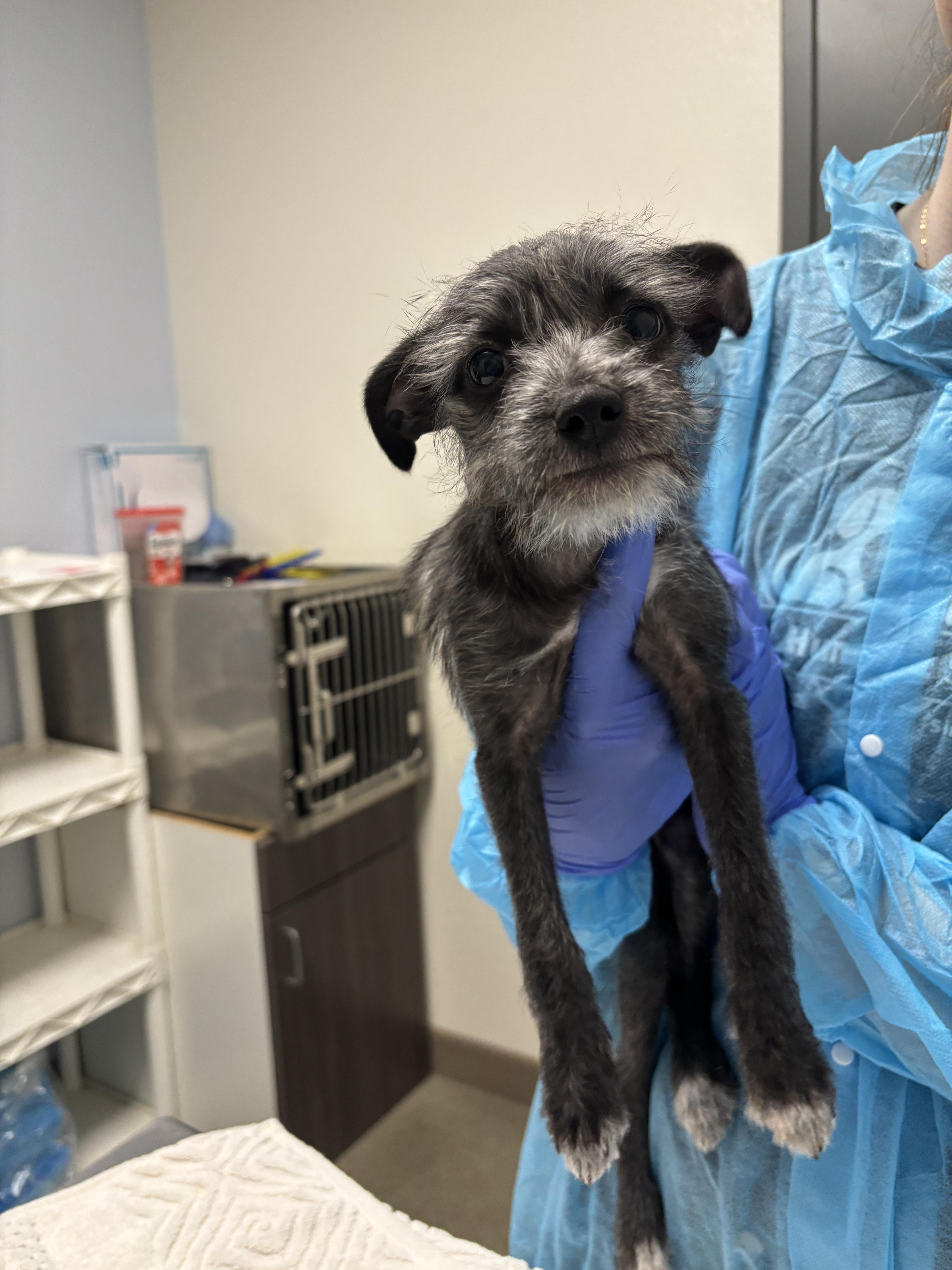 Gigabyte thumbnail 2