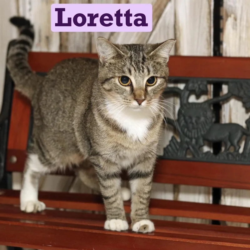 Loretta