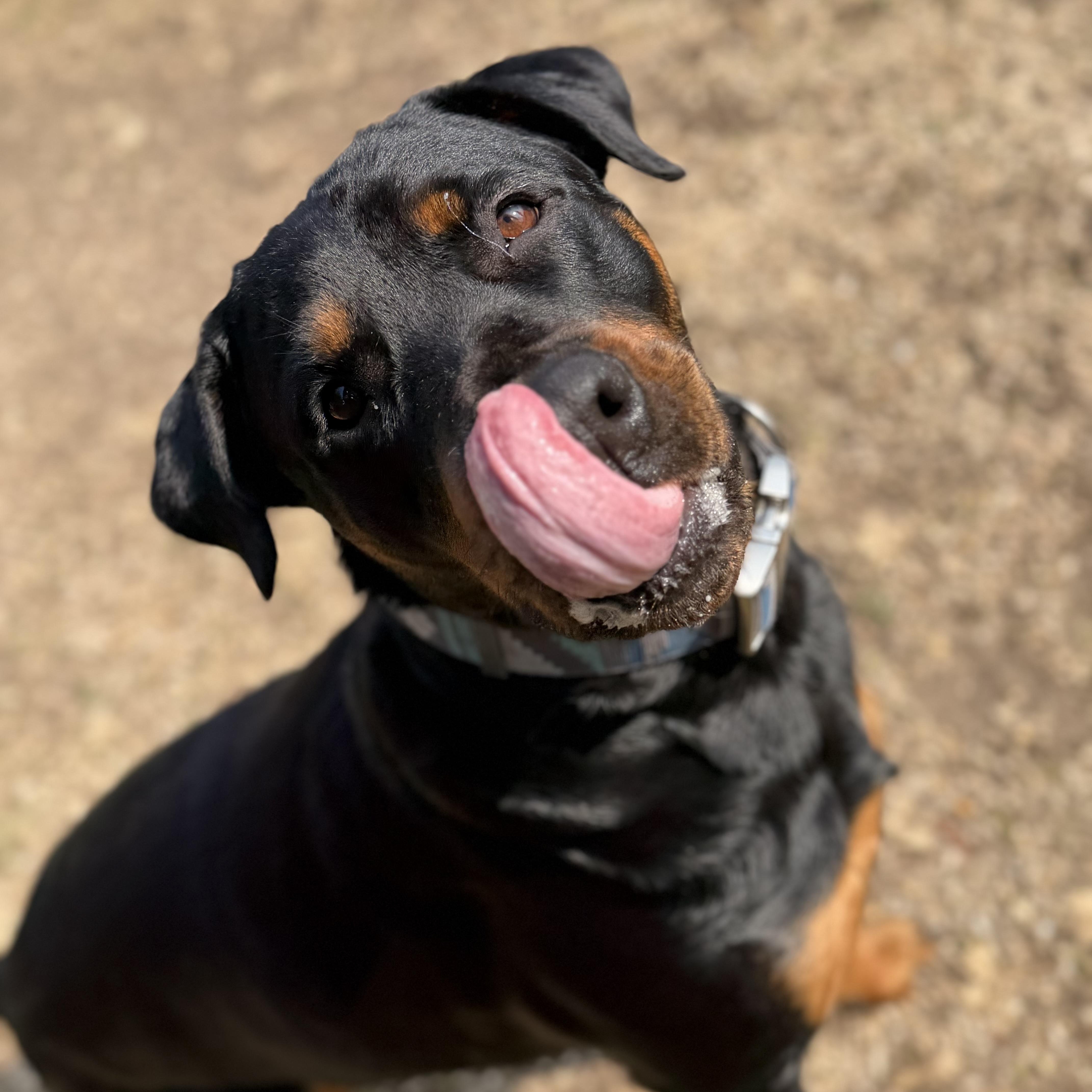 Madeline thumbnail 2