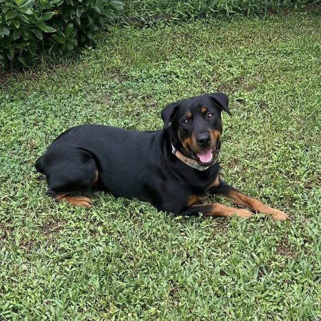 Madeline thumbnail 4