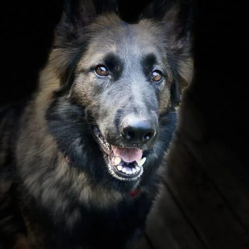 Sammie Lynn thumbnail 2