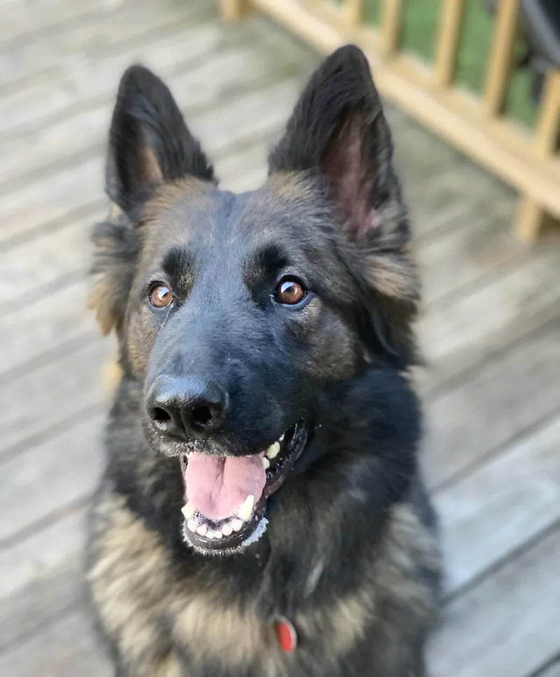 Sammie Lynn thumbnail 3