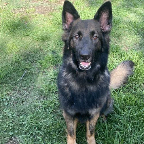 Sammie Lynn thumbnail 4