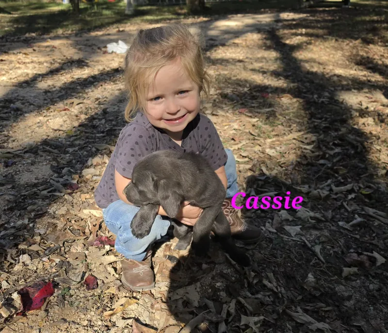 Cassie Cheer thumbnail 2