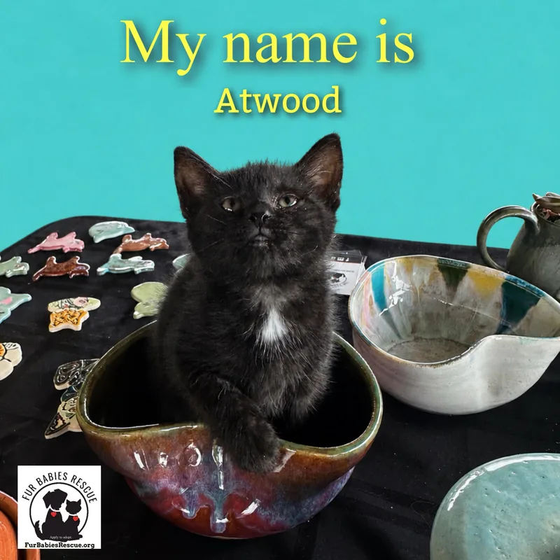 Alcott & Atwood