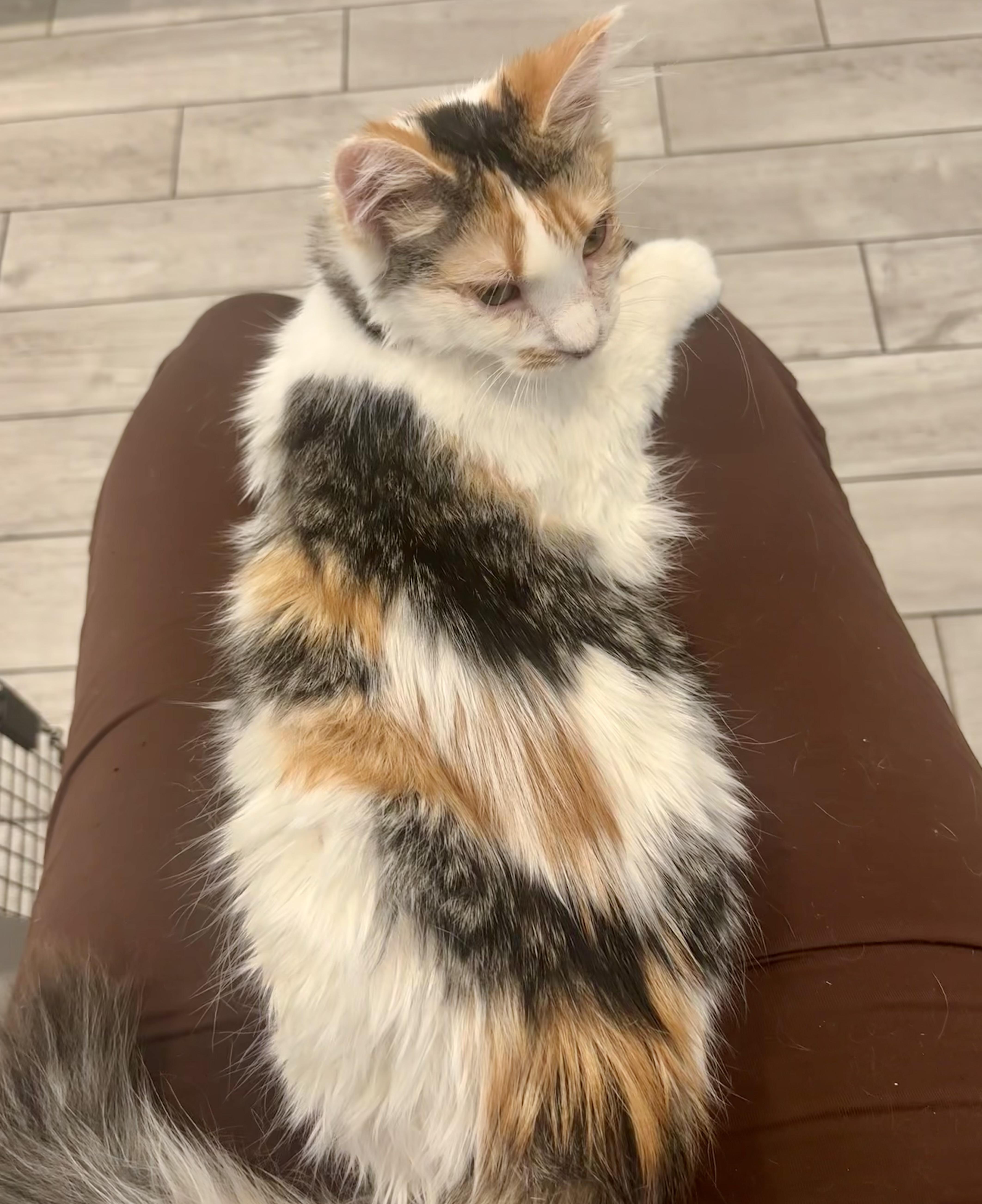 Molly Mae thumbnail 4