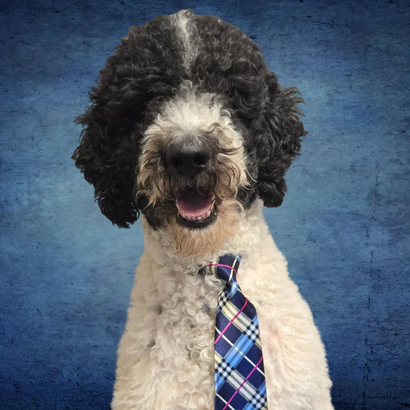 Dave from Accounting thumbnail 5