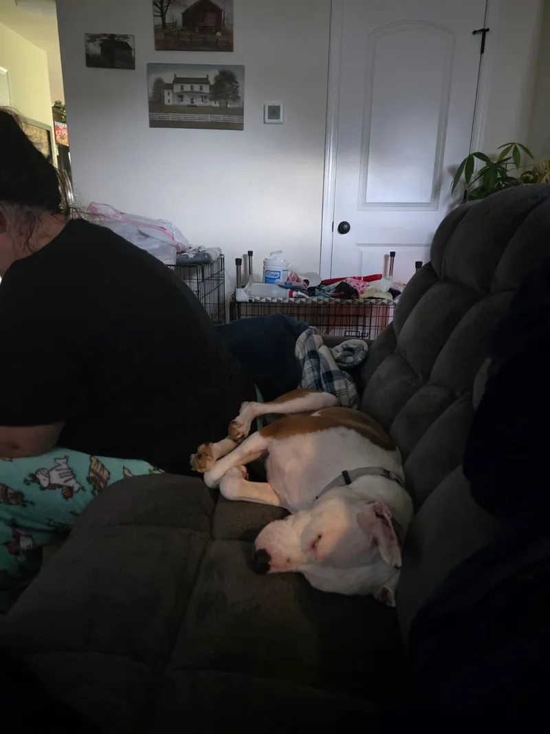 Perfect Gracie thumbnail 5