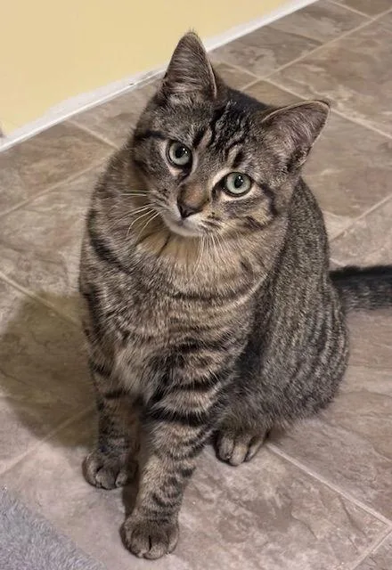 Shadow C thumbnail 2