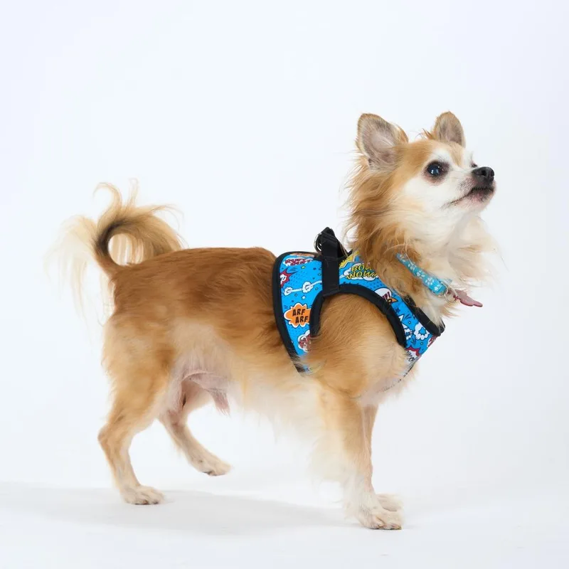 A senior small-sized male Yellow / Tan / Blond / Fawn Chihuahua dog named Radar for adoption in San Francisco, CA