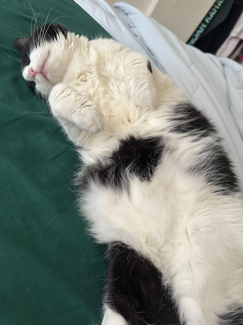 Precious thumbnail 2