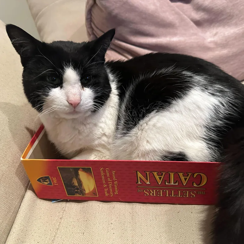 Precious thumbnail 3