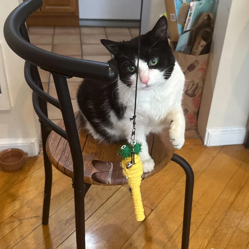 Precious thumbnail 5