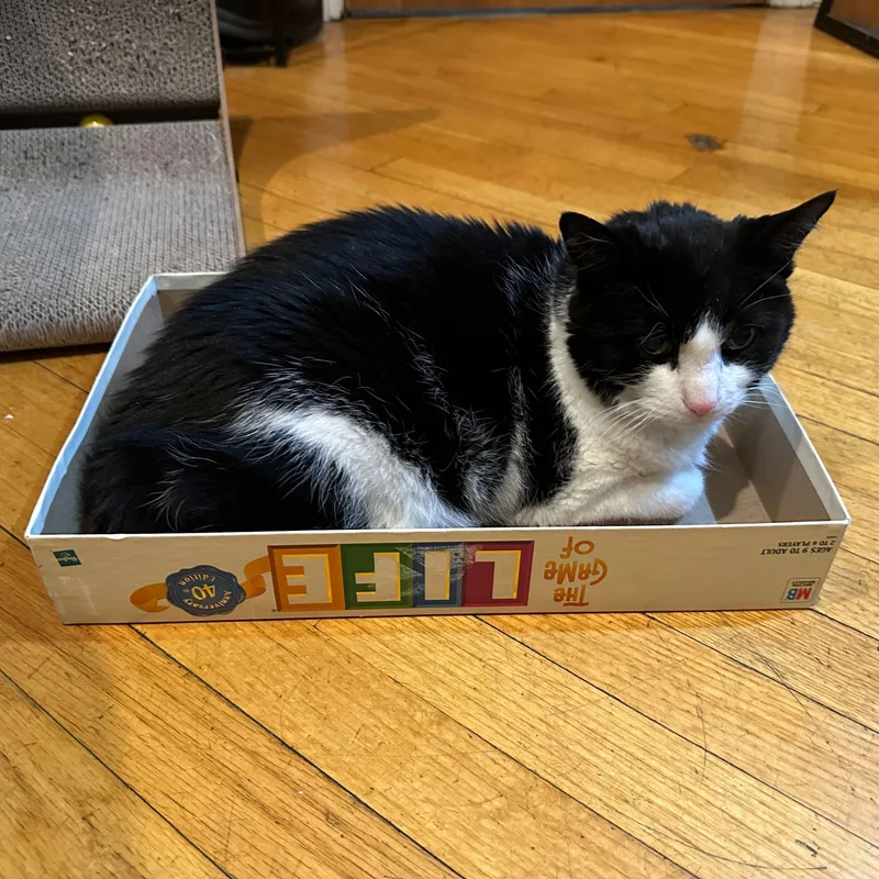 Precious thumbnail 6