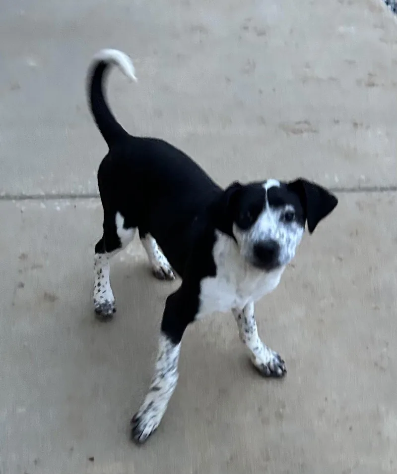 Mary Ann thumbnail 3