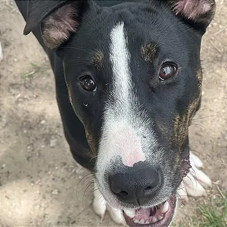 Mr. Clean thumbnail 2