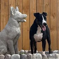 Mr. Clean thumbnail 6