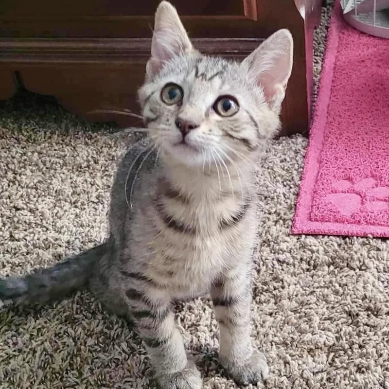 Overwatch thumbnail 2